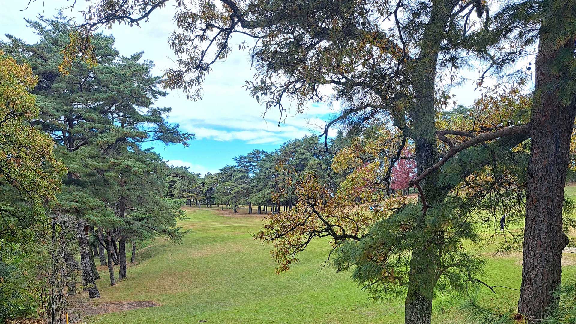 ゴルフコンペ場の雰囲気