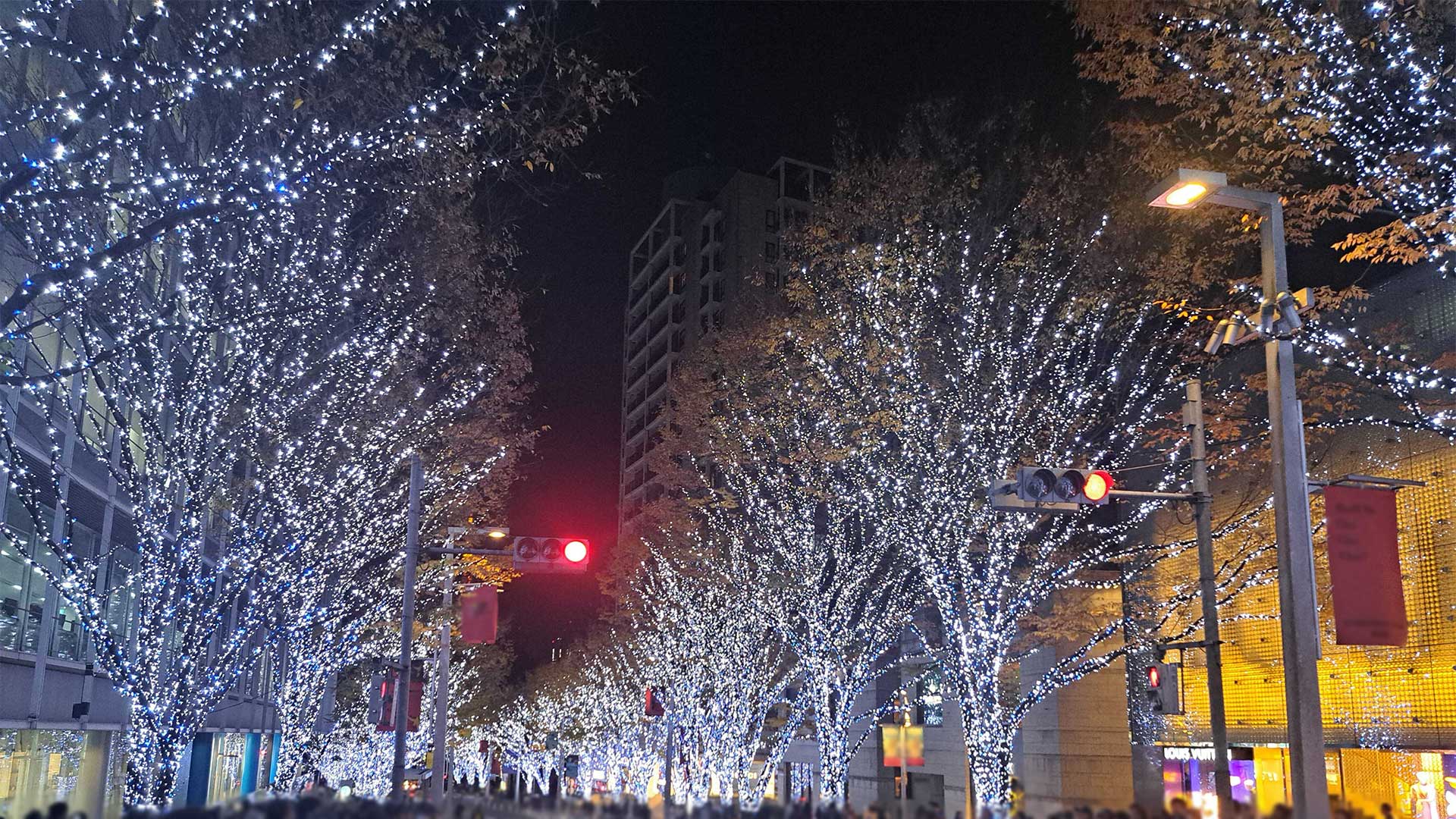 イルミネーションが綺麗な写真